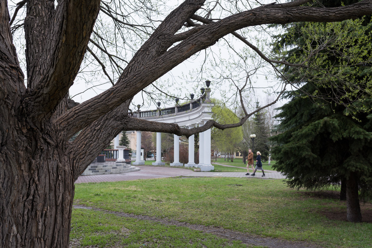 В парке - Валерий Михмель 