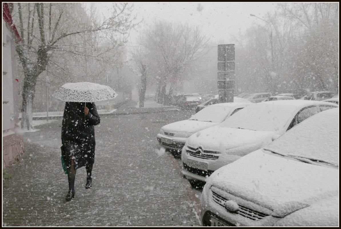 Зонтик - Алексей Хвастунов Зонтик - Алексей Хвастунов