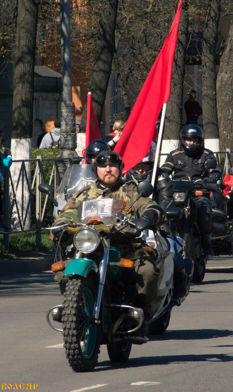 Во главе бессмертного полка - Роман 