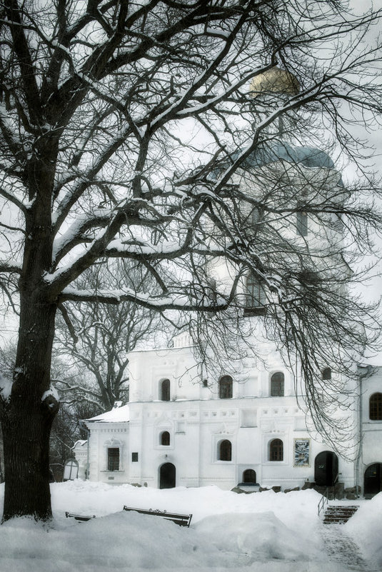 Winter dreams of The College. - Андрий Майковский