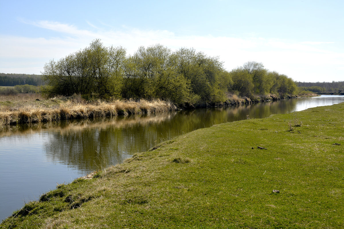 *** - Дмитрий Петренко *** - Дмитрий Петренко
