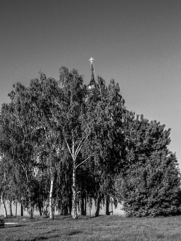 храм в березках - Юлия Денискина