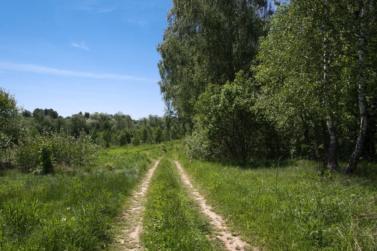 *** - Владимир Безбородов