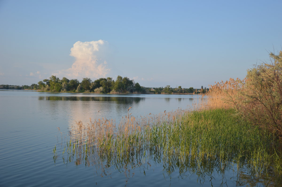 Вечерняя рыбалка. - Виктор 