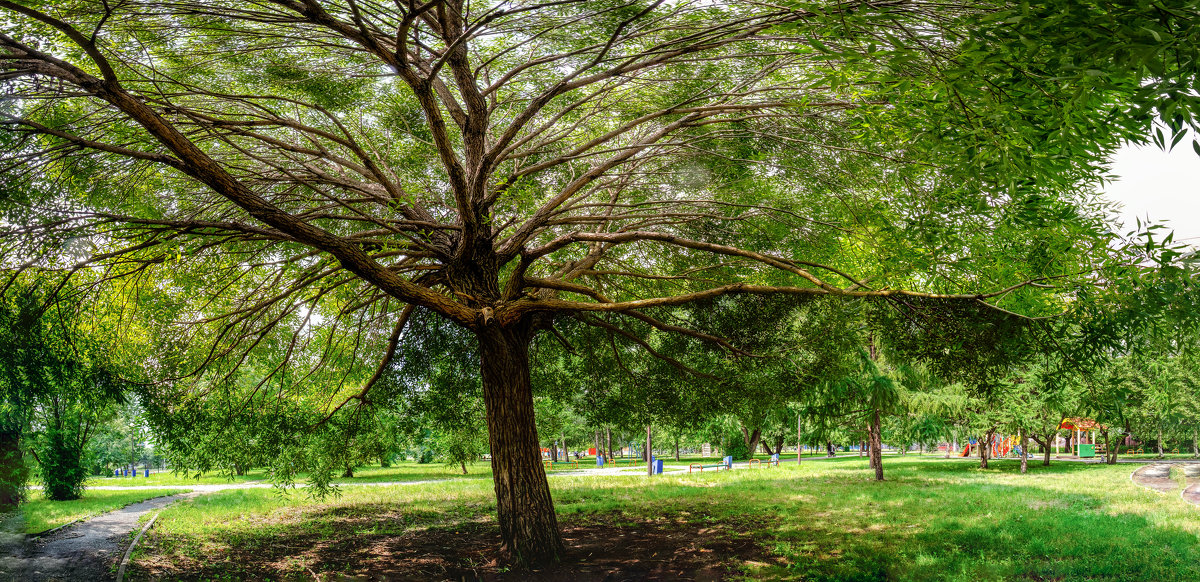 *** - Марк Э *** - Марк Э