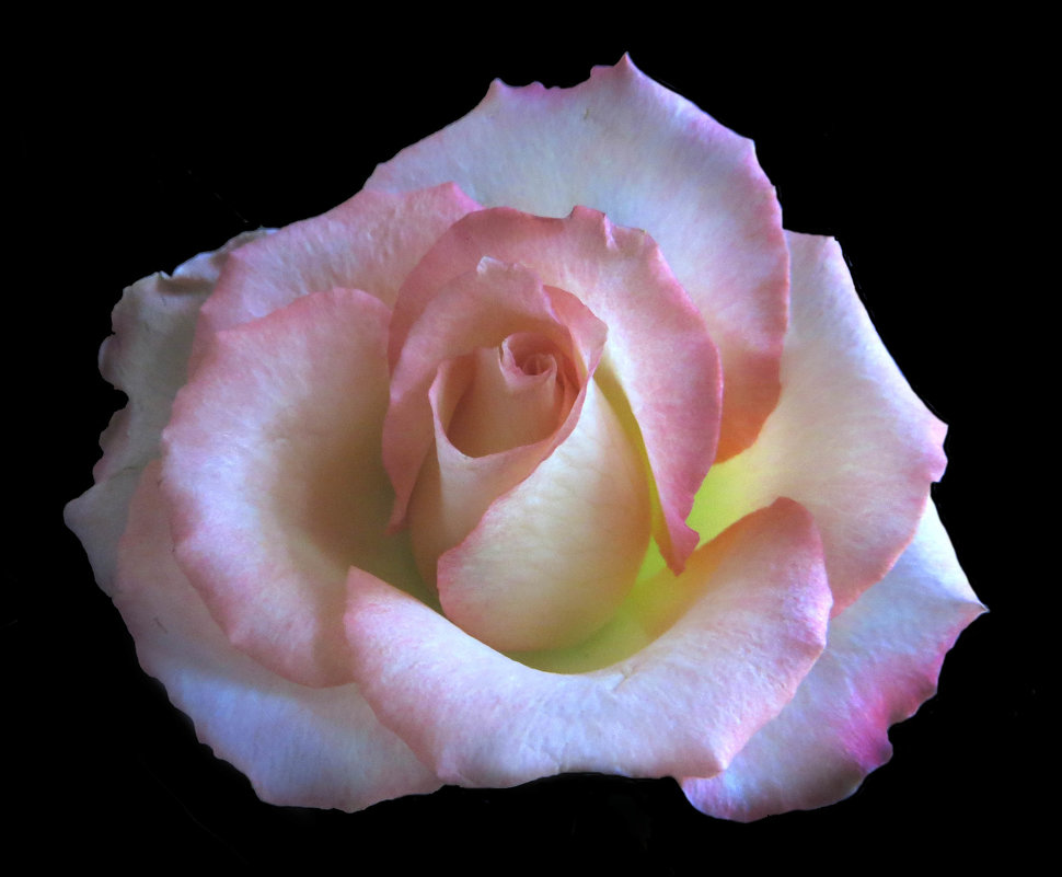 Как будто из фарфора... - Nata Как будто из фарфора... - Nata