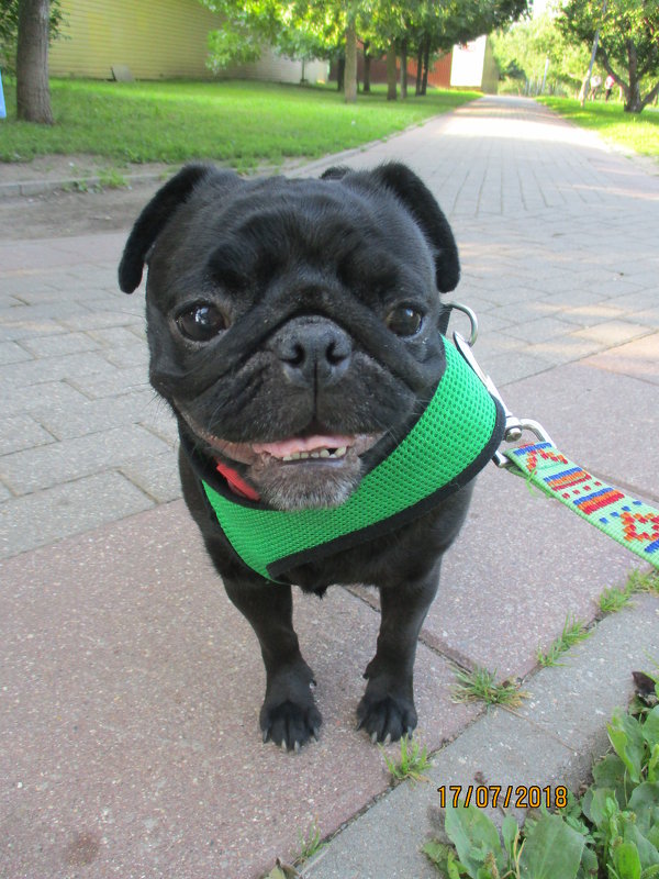 Моника. - Зинаида 