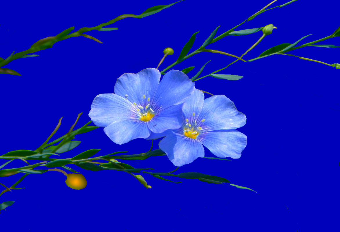 Утренние - Владимир Хатмулин