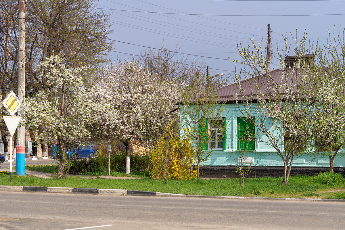 Весна - Игорь Сикорский