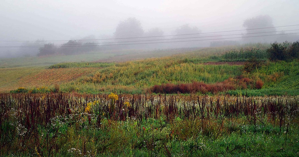 ... - юрий иванов