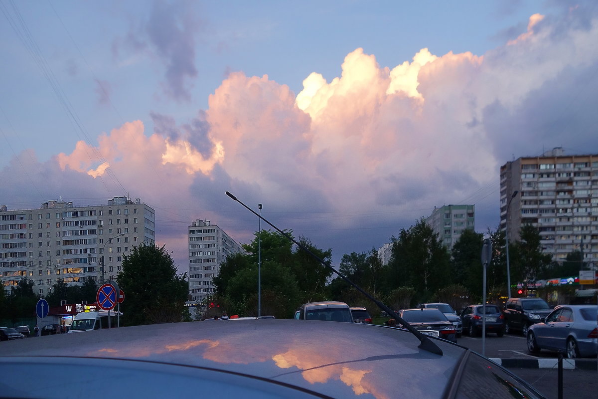 Алтуфьево на закате - Ольга Алтуфьево на закате - Ольга