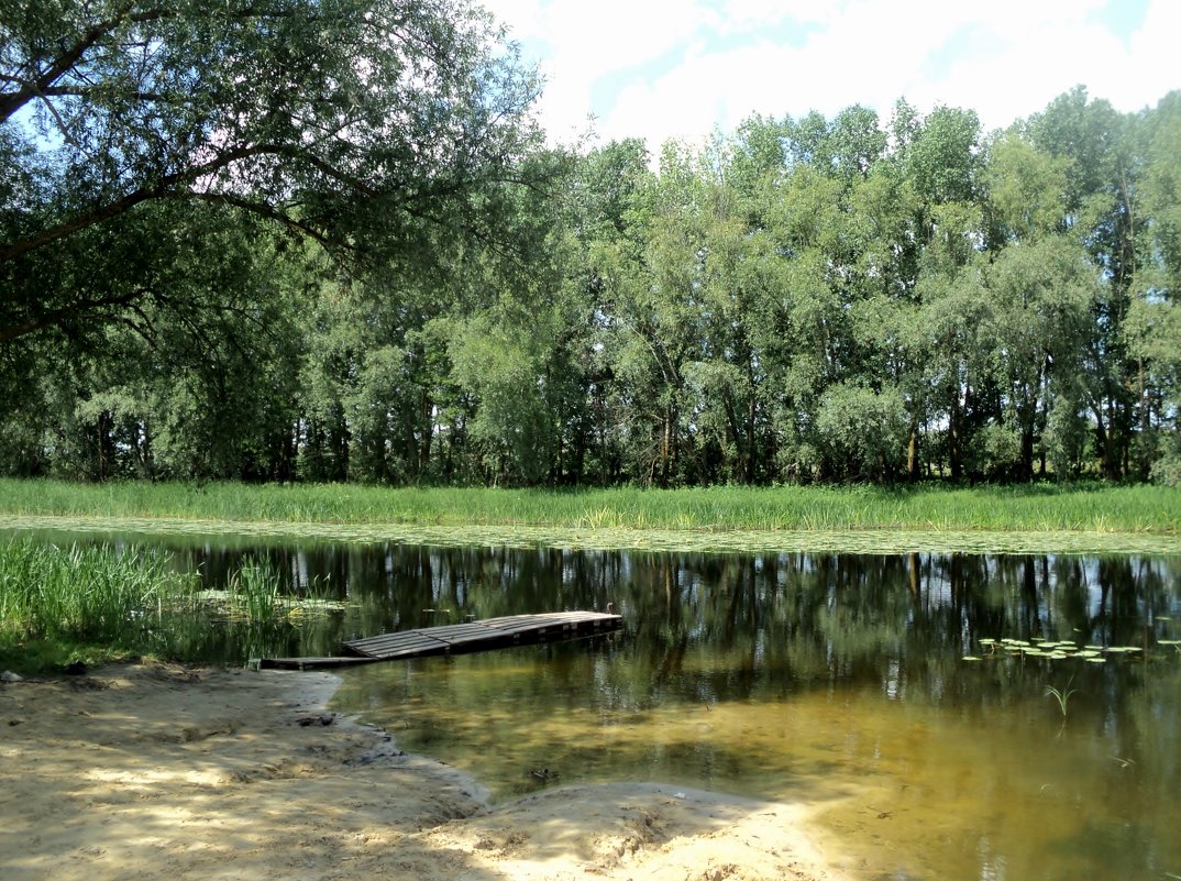 Сила реки в воде... - Ольга Кривых