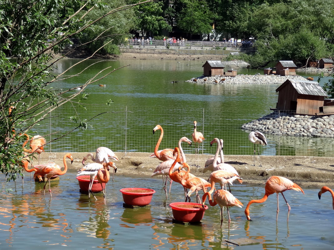 *** - emaslenova *** - emaslenova