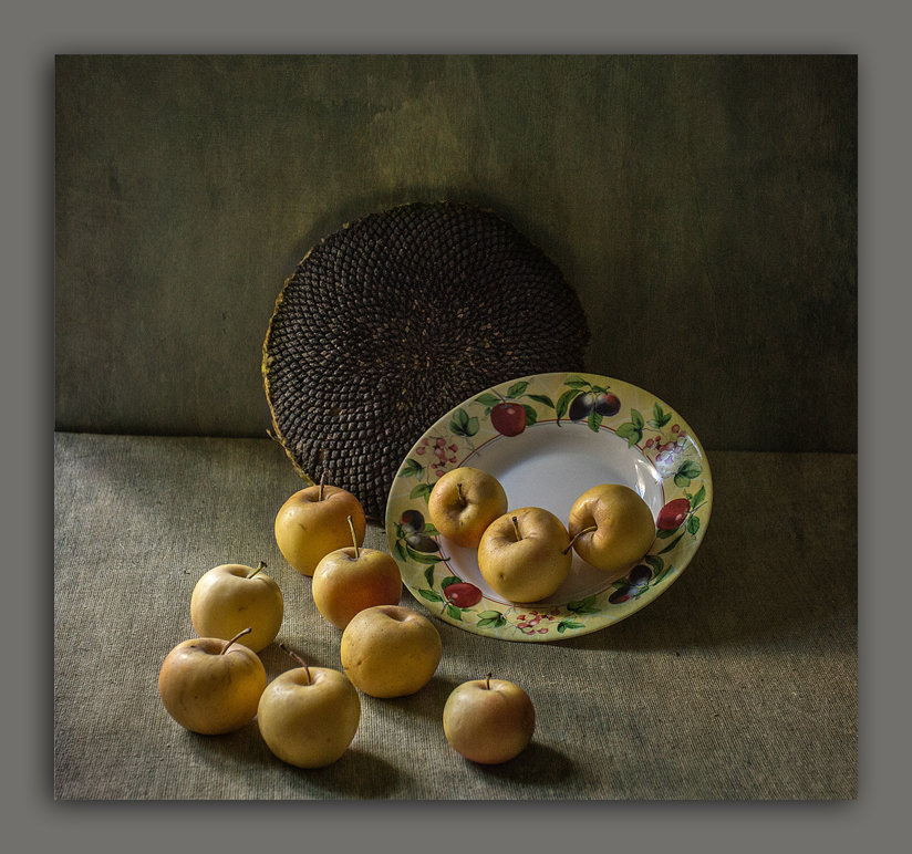 подсолнух и яблоки - Николай 