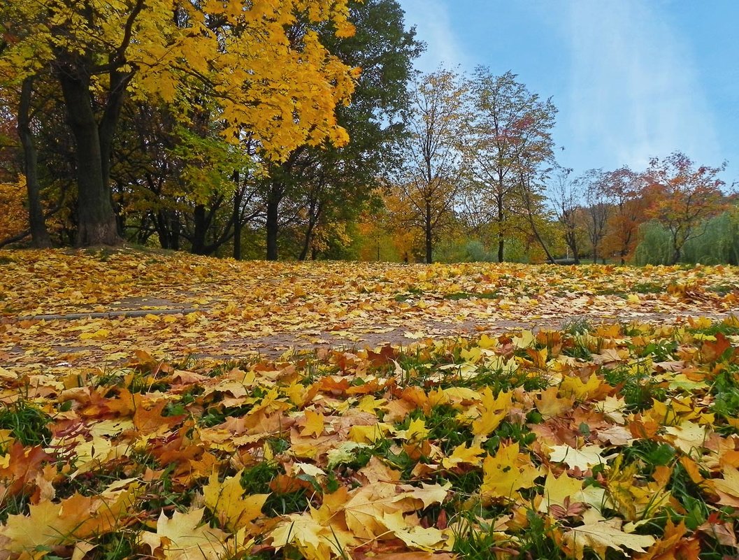 Осень - Анатолий Цыганок