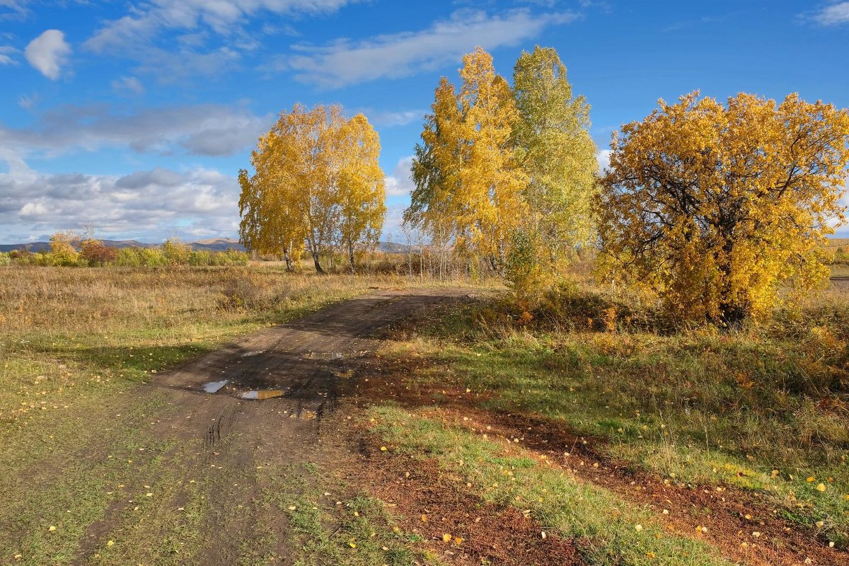 *** - Алексей Мезенцев