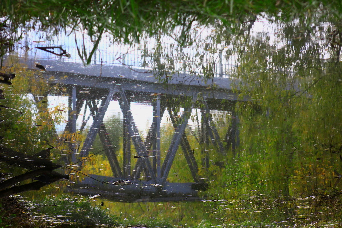 Осень в голове - олег свирский Осень в голове - олег свирский
