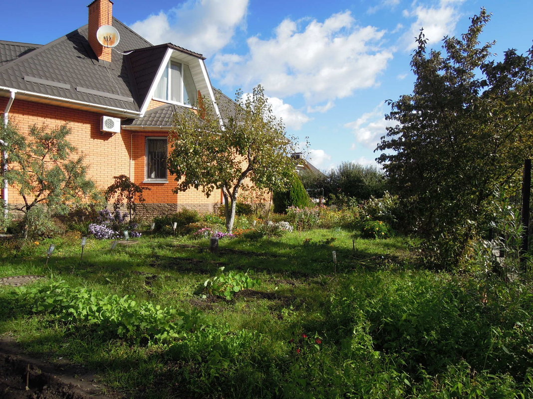 Осень на дворе... - Тамара Бедай Осень на дворе... - Тамара Бедай