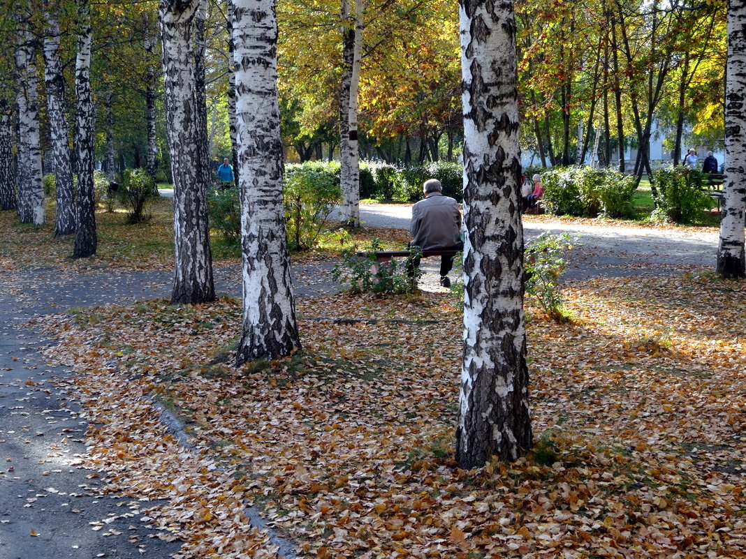 Осенний пригожий день.Располагает посидеть. - Елизавета Успенская