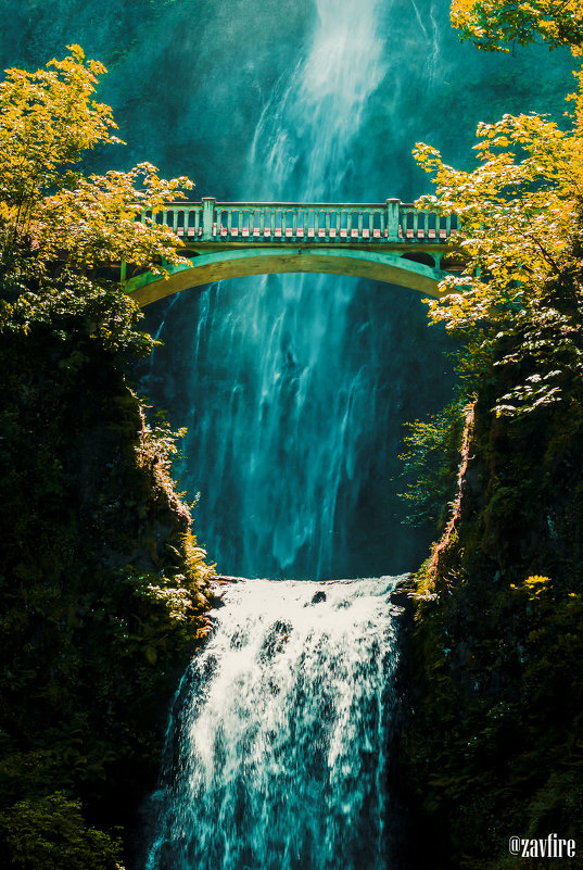 Multnomah Falls. Oregon. USA - Andy Zav