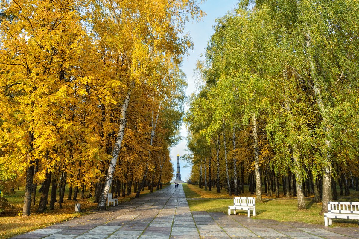 осень на Куликовом Поле - Андрей Пахомов