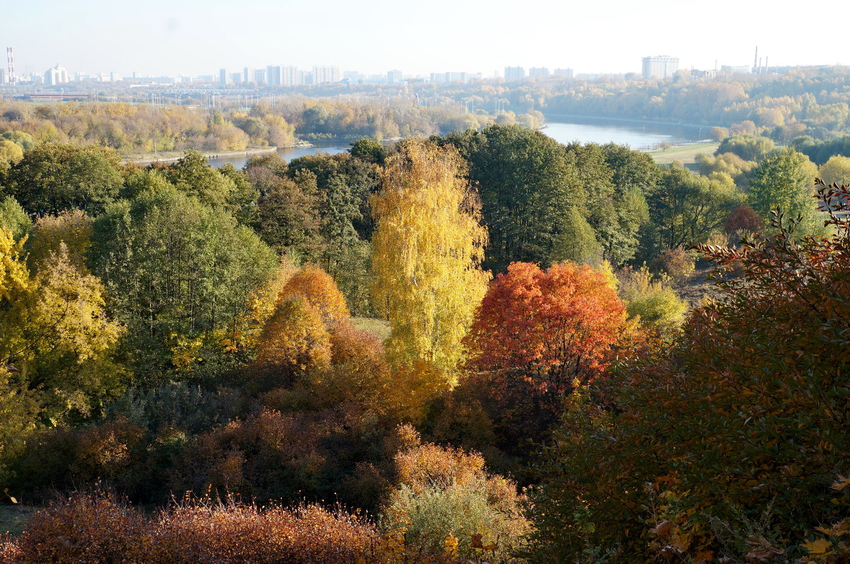 Осень в Москве - Татьяна Леви