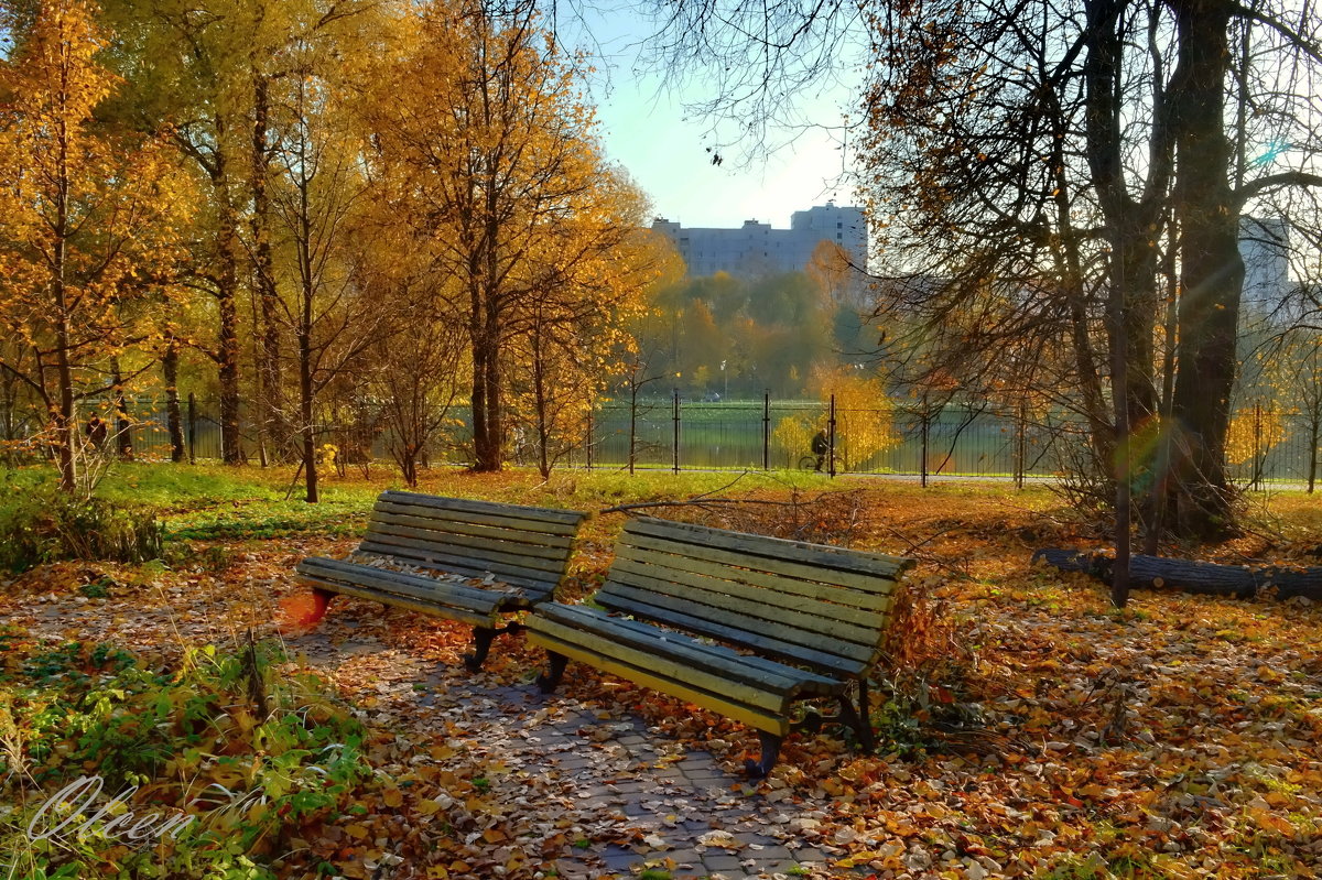 В парке осень - Olcen Len