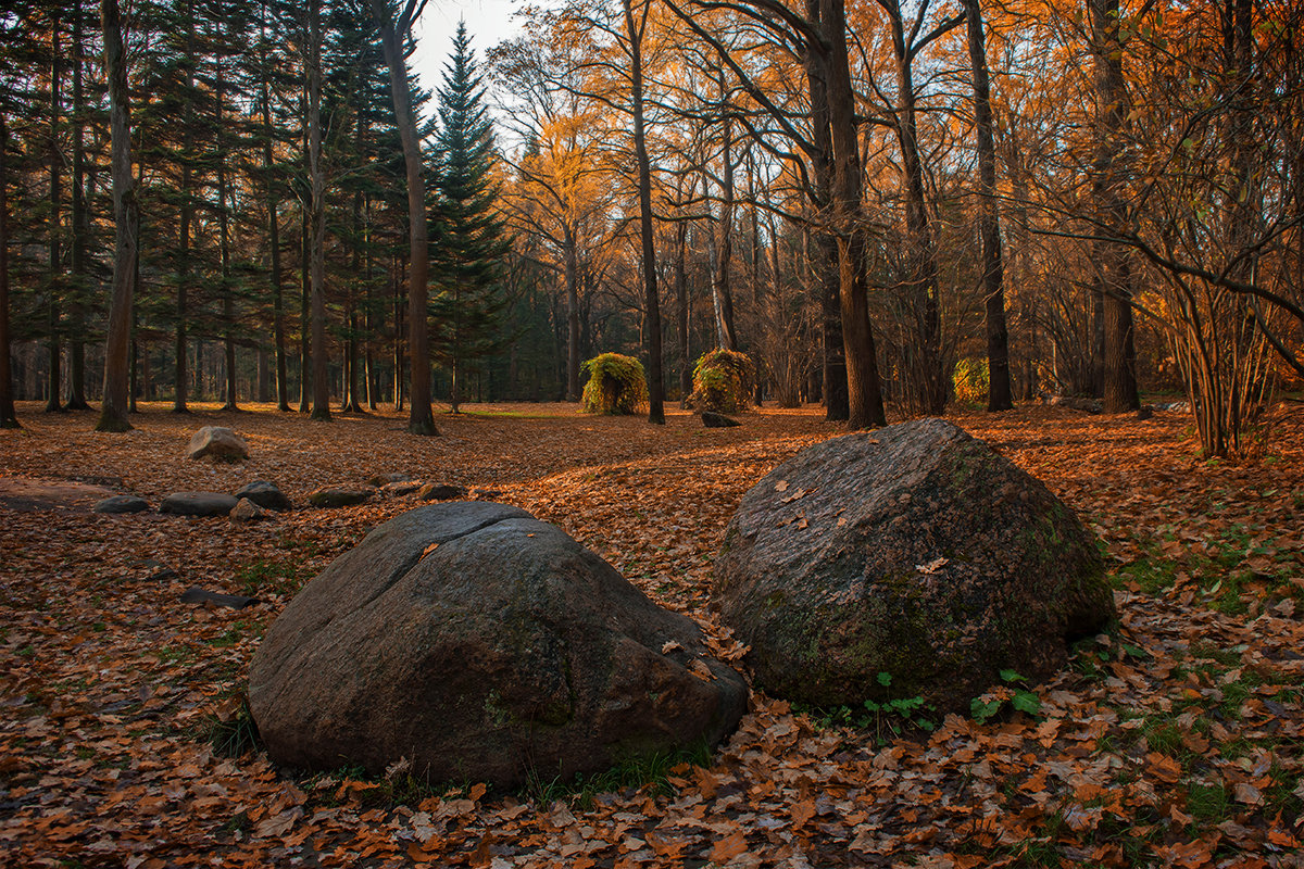 ГБС РАН - Pepsovich 