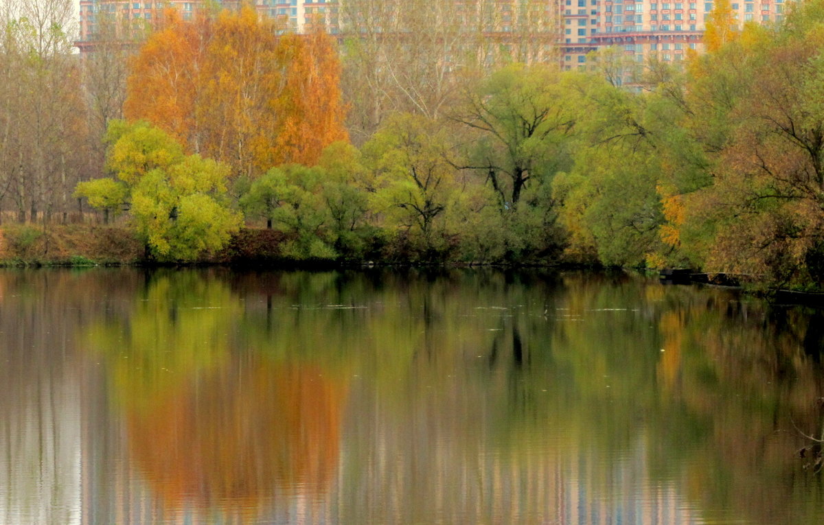 краски осени - жанна нечаева