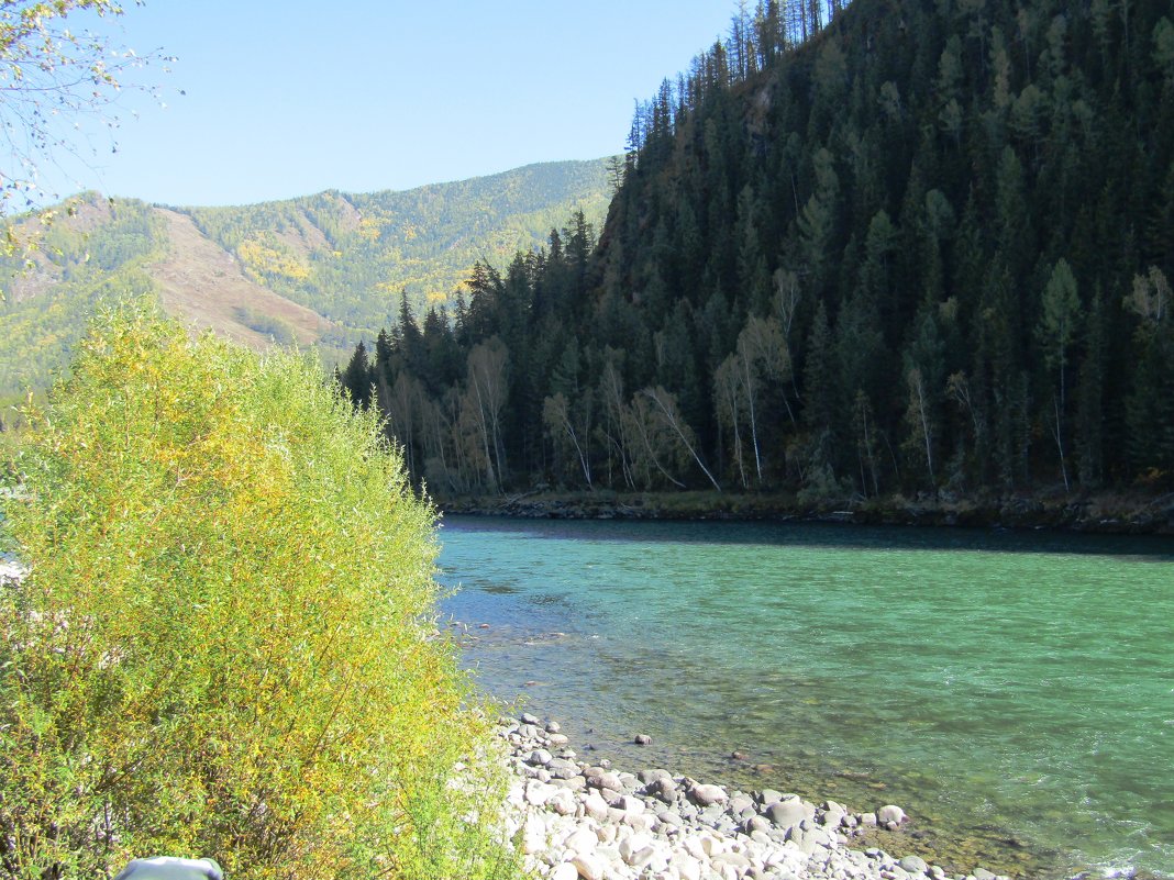 Катунь - Galaelina *** Катунь - Galaelina ***