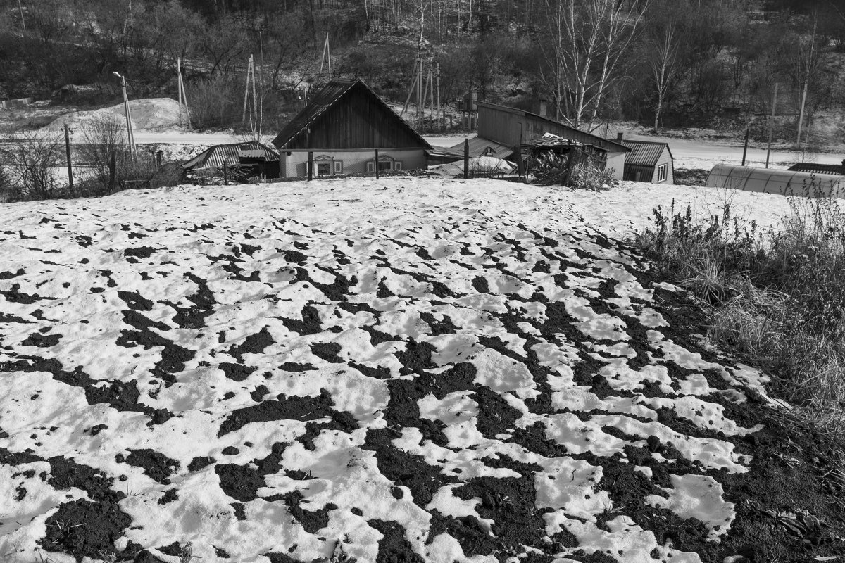 черно-белое фото - Валерий Михмель 