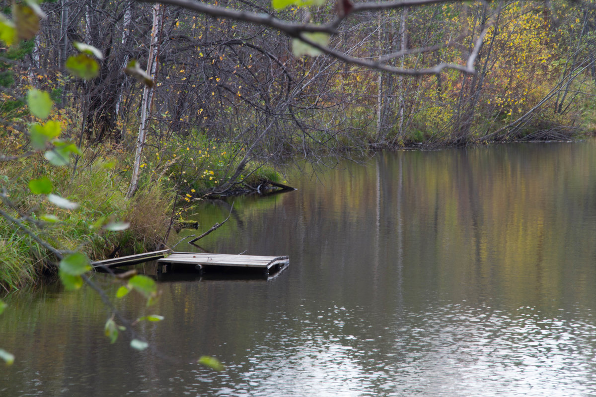 ... - Аленка Алимова ... - Аленка Алимова