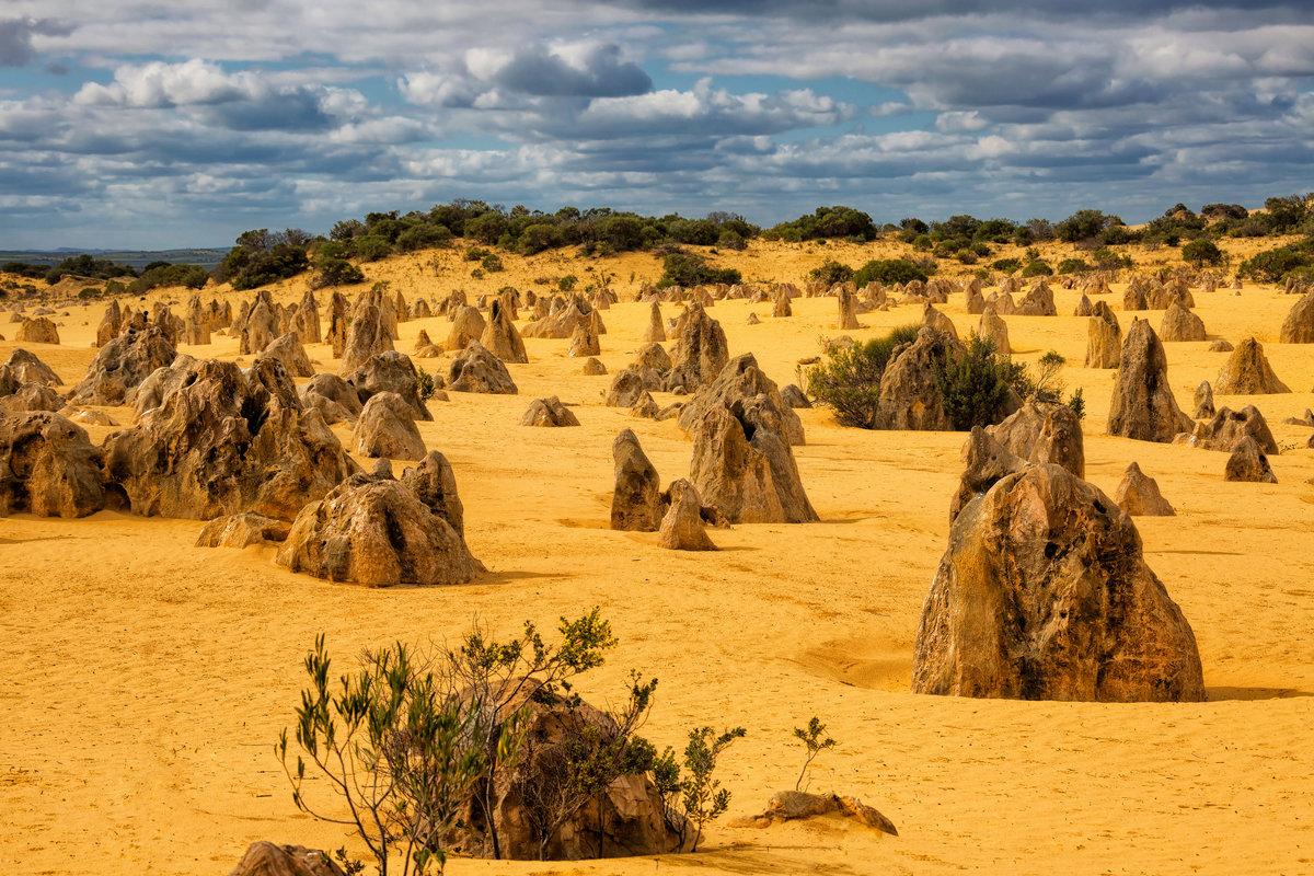 Pinnacles Desert - slavado 