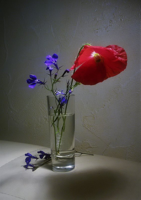 Одинокий.. - Людмила Одинокий.. - Людмила