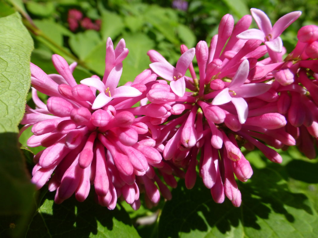 ... - Татьяна Лобанова ... - Татьяна Лобанова