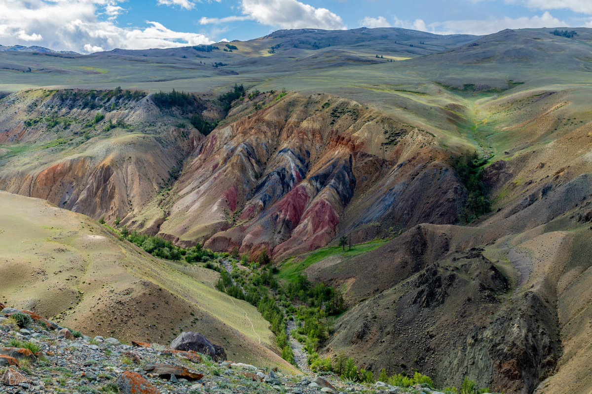 Разноцветье. - Юрий Харченко