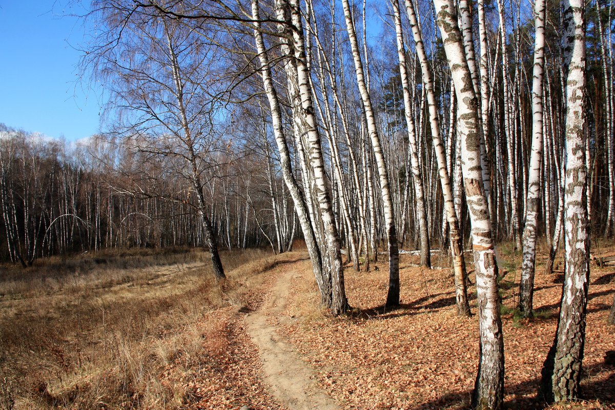 осень - Владимир Холодницкий