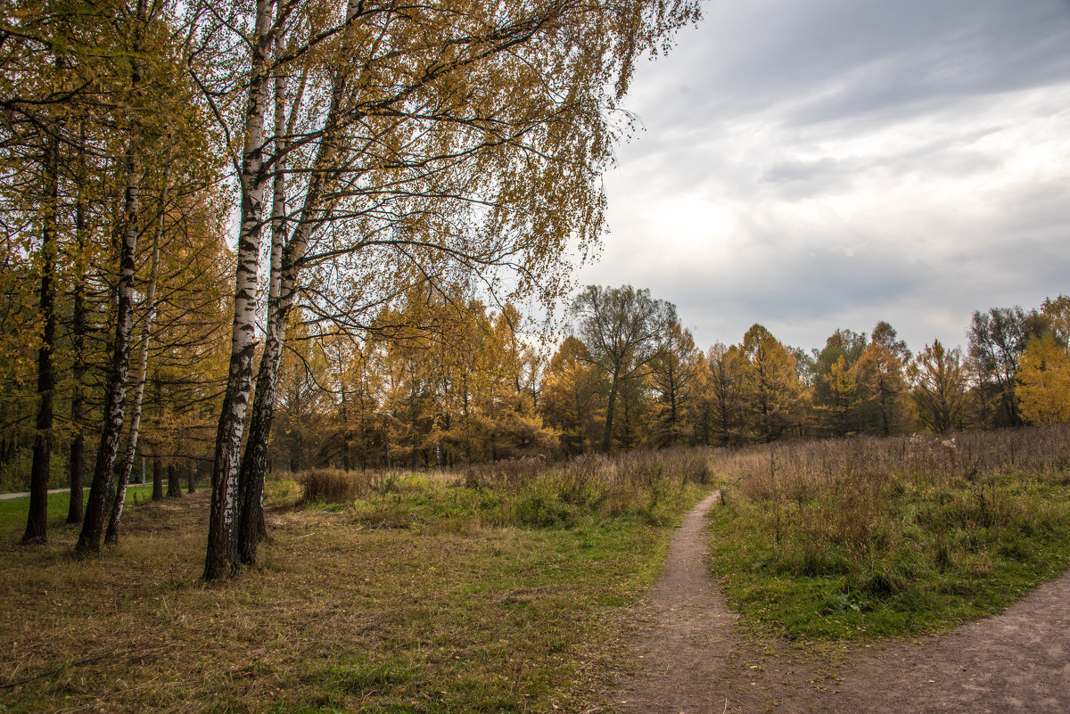 *** - Владимир Безбородов