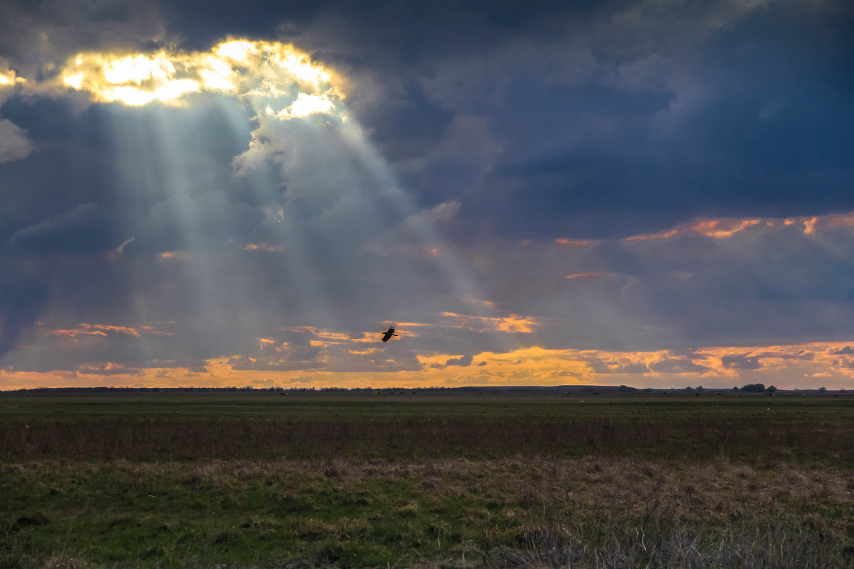 свет в оконце) - Игорь Карпов свет в оконце) - Игорь Карпов
