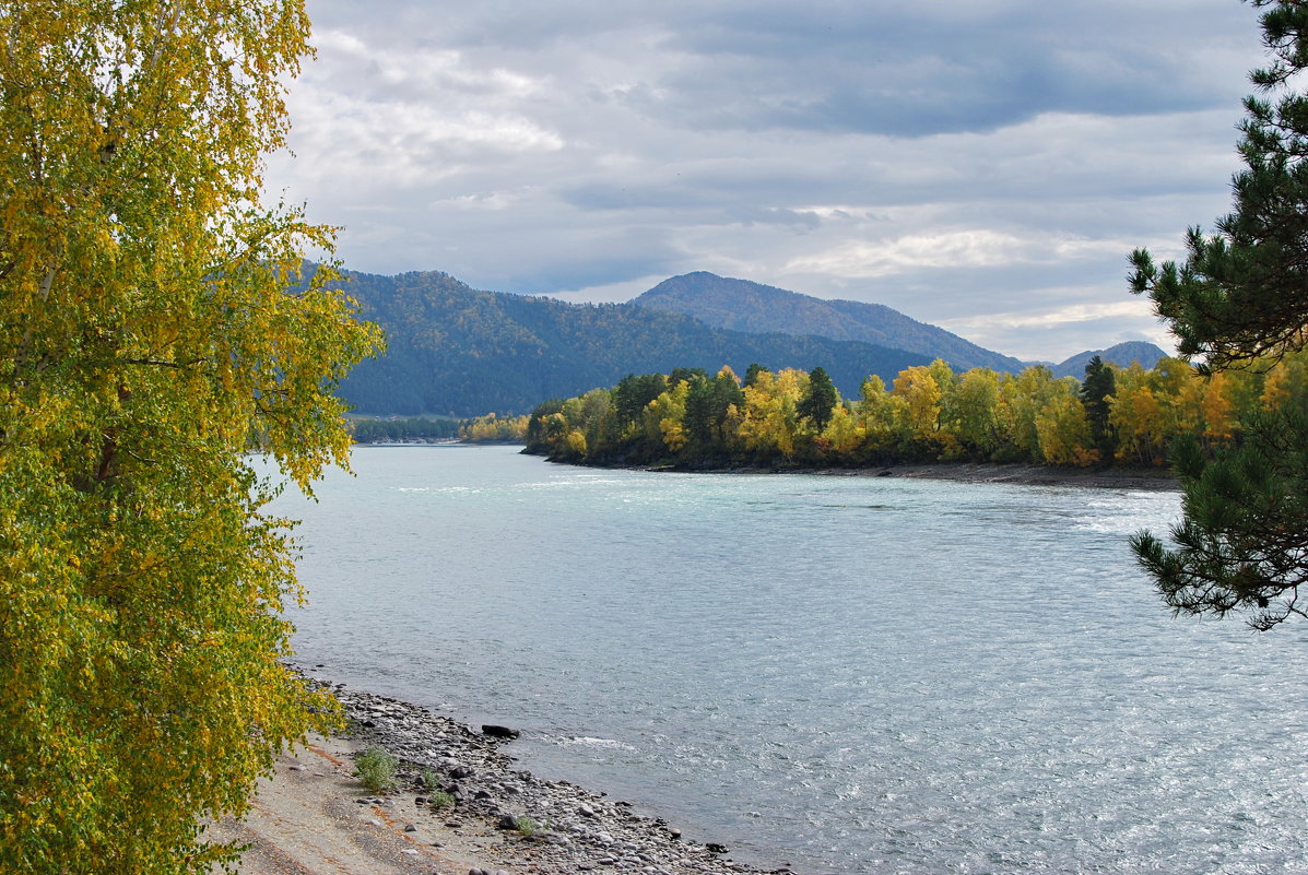 осень,Катунь - nataly-teplyakov 