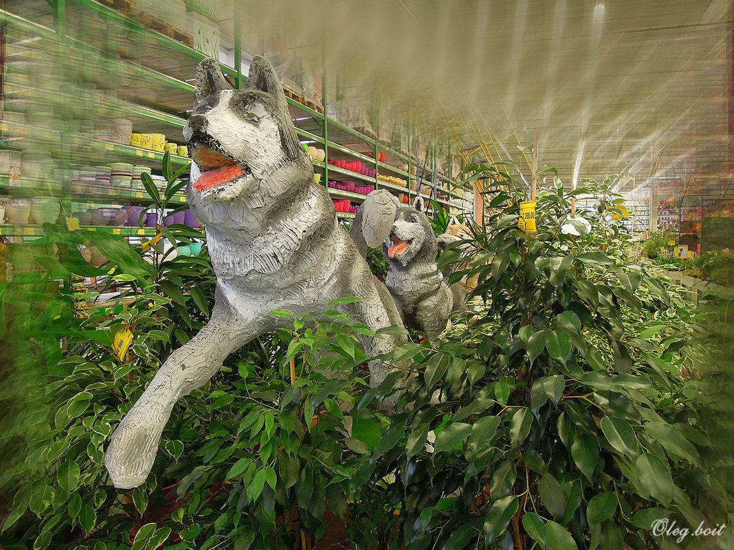 Собаки умчатся... придёт другой год ) - Тамара Бедай Собаки умчатся... придёт другой год ) - Тамара Бедай