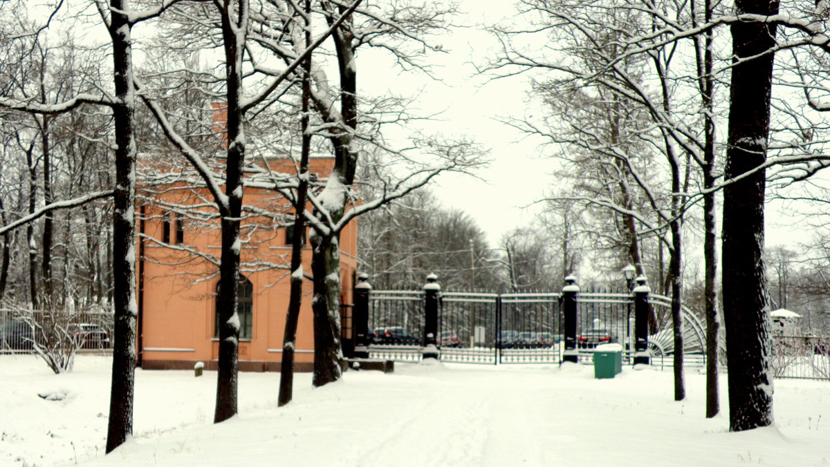 зимой в парке - Сергей 