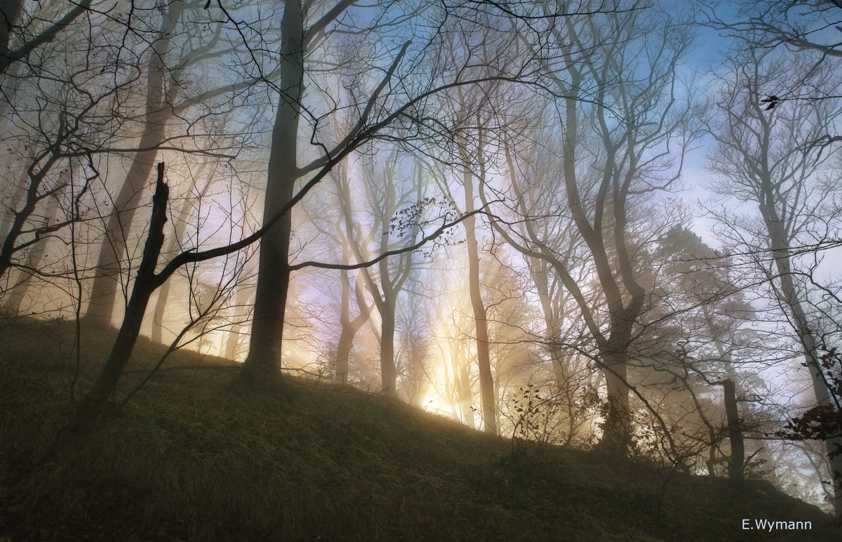 а за туманом солнце - Elena Wymann