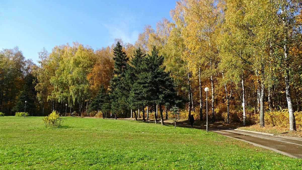 Об осеннем городе - Милешкин Владимир Алексеевич 