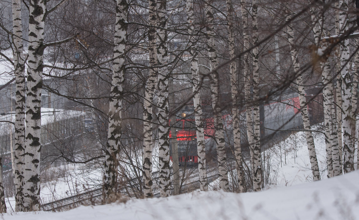 *** - Владимир Безбородов