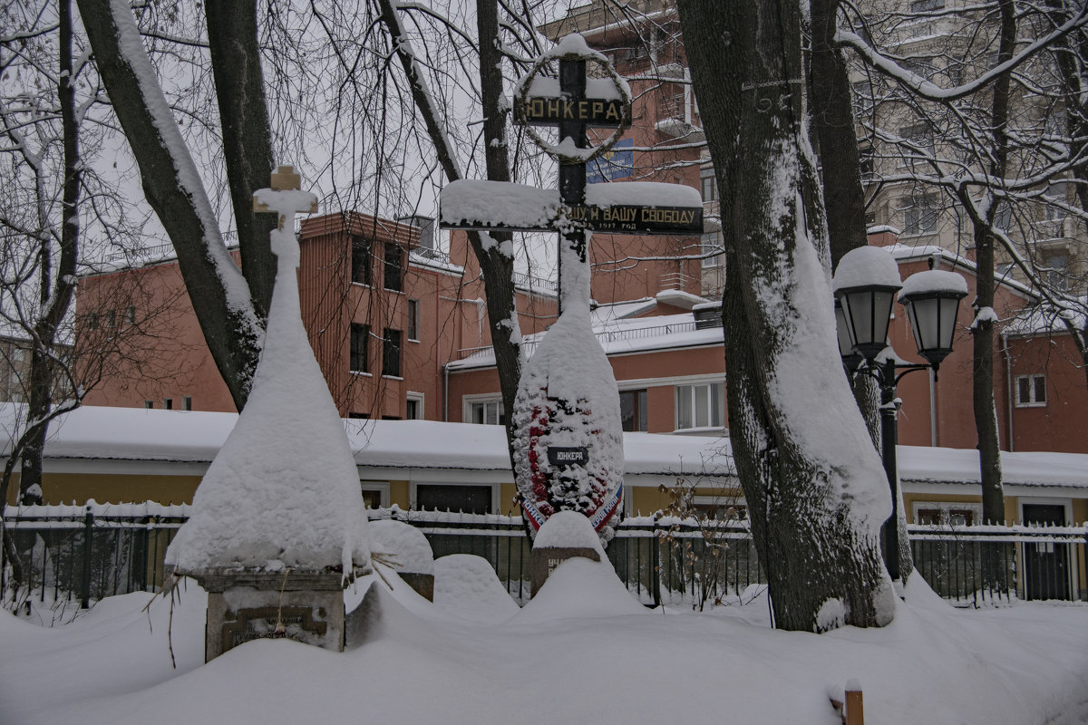 За свободу - Яков Реймер