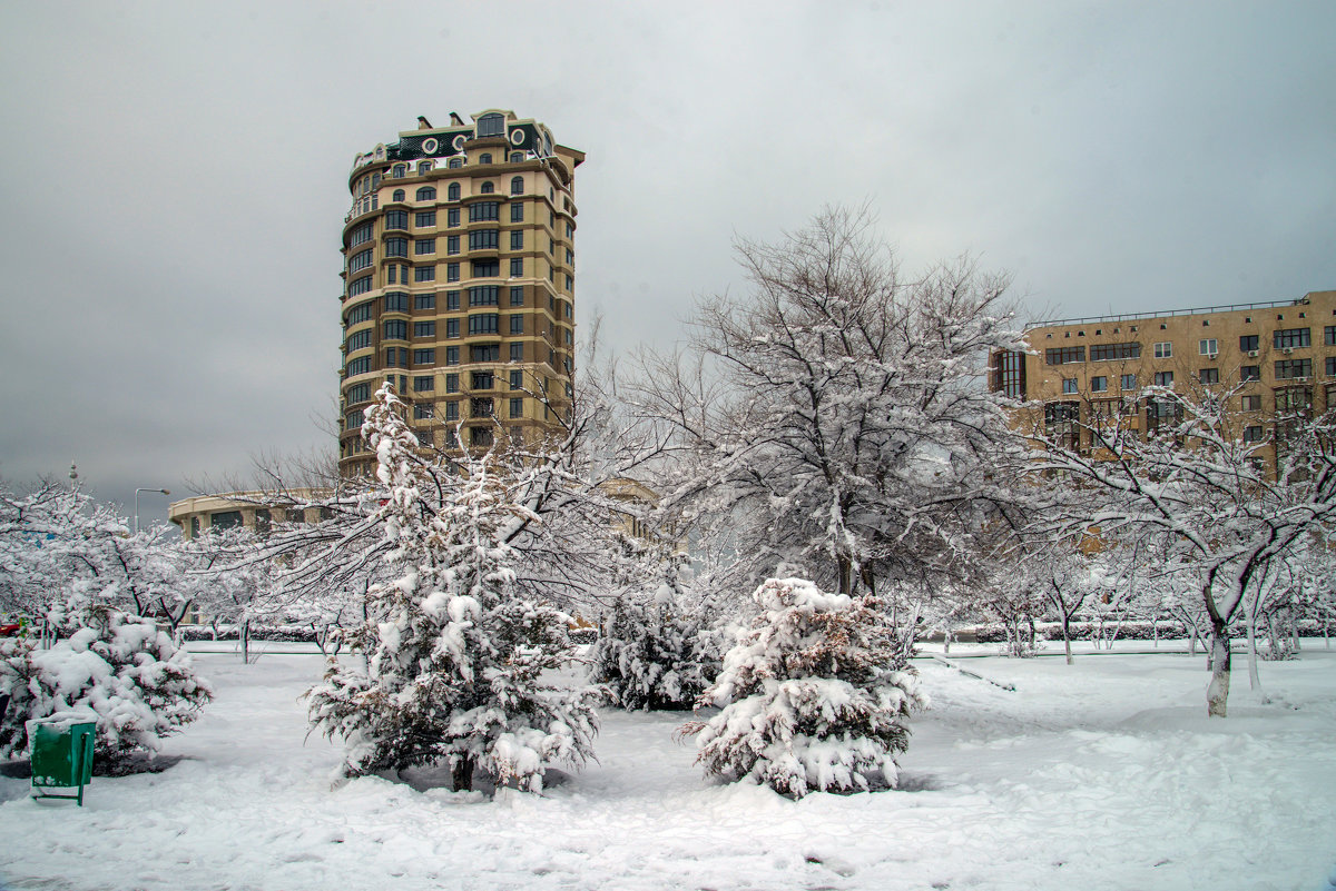 Зима в городе - Анатолий Чикчирный