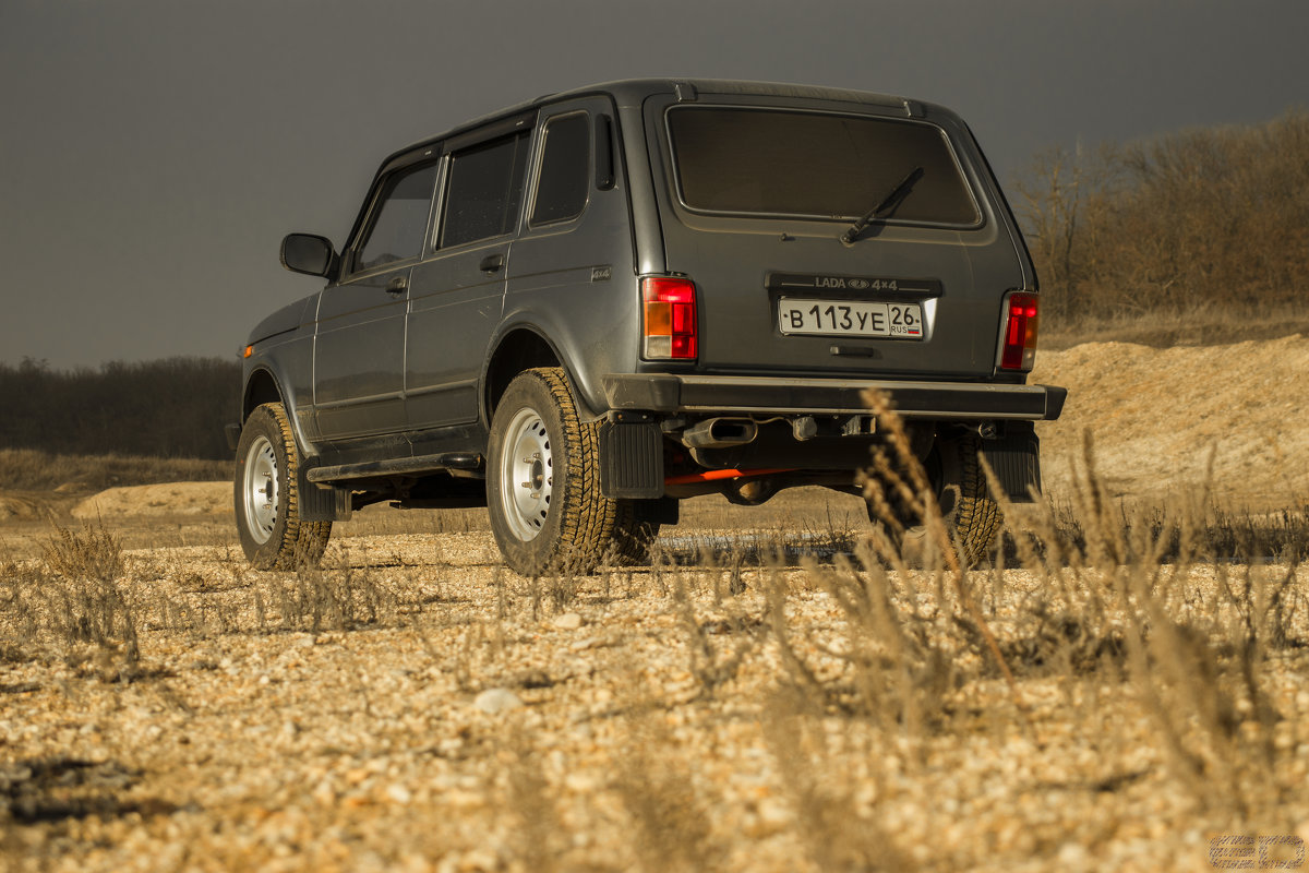 Нивастер - Egor Domarev