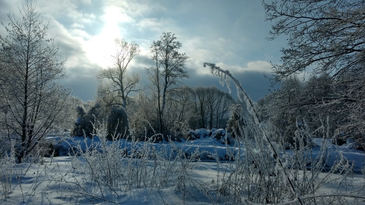 ...а летом здесь я фоткаю бабочек :) 2 - Александр Прокудин