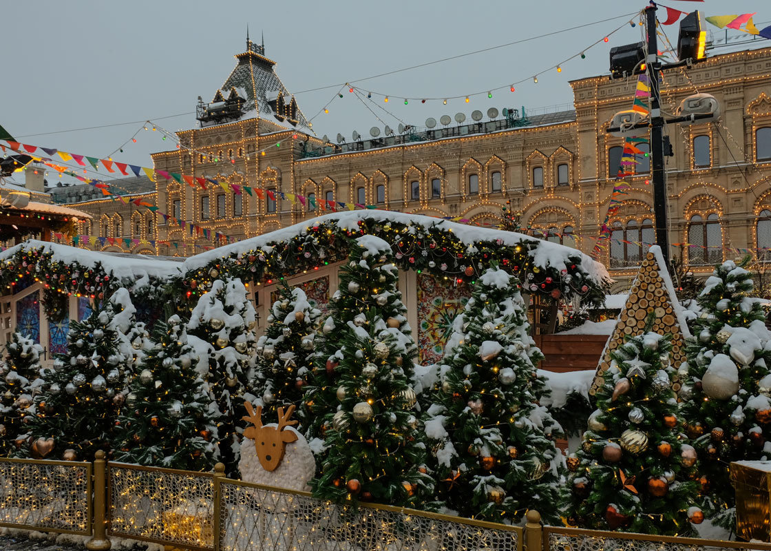 Новогодняя ярмарка на Красной площади (08.01.2019) - Надежда Лаптева